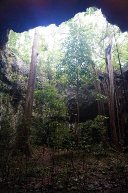 Lolthun mağarası, Maya dilinde - bir çiçek taşı. Maya kutsal mağaralarından biri, Meksika..