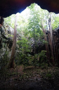 Lolthun mağarası, Maya dilinde - bir çiçek taşı. Maya kutsal mağaralarından biri, Meksika..