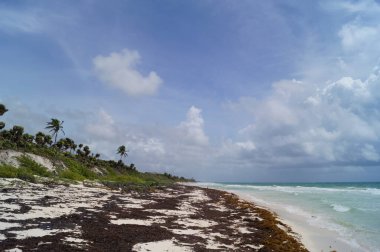 Tulum, Quintana Roo, Meksika 'daki tropik sahil.