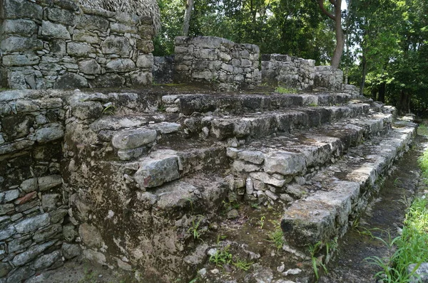 Руїни Стародавнього Міста Коба Півострові Юкатан Мексиканському Штаті Кінтана Роо — стокове фото