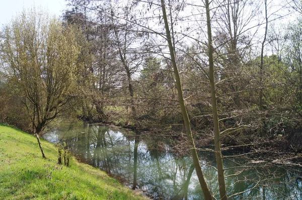 Regard Sur Rivière Wuhle Berlin Allemagne — Photo