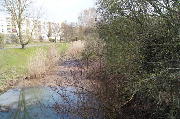 Spójrz Rzekę Wuhle Berlin Niemcy — Zdjęcie stockowe