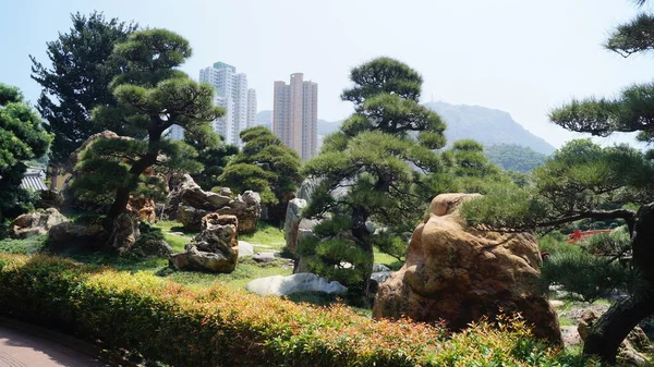 Πάρκο Αναψυχής Στο Χονγκ Κονγκ Κίνα — Φωτογραφία Αρχείου