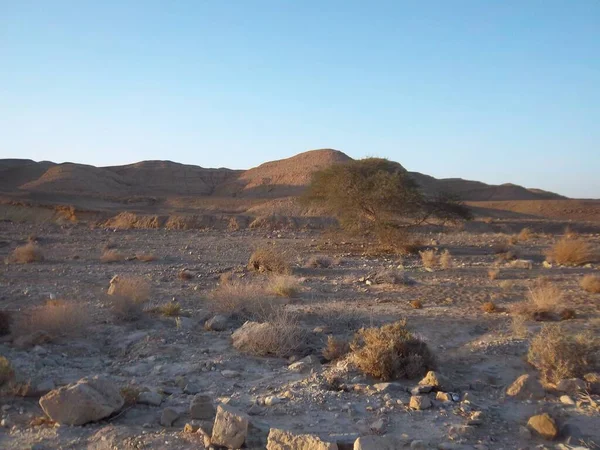 Een Prachtig Berglandschap Negev Woestijn Het Zuiden Van Israël Mitzpe — Stockfoto