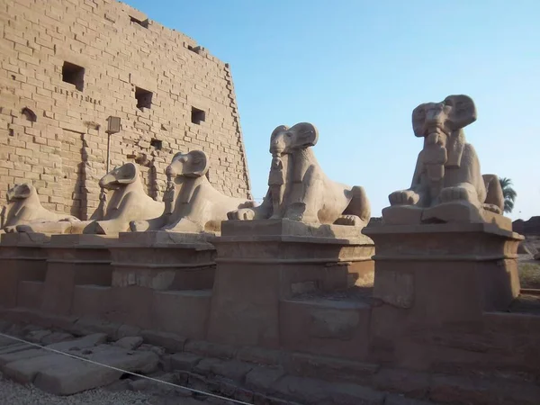 Statues Sphinx Tête Bélier Karnak Complexe Temple Karnak Comprend Vaste — Photo