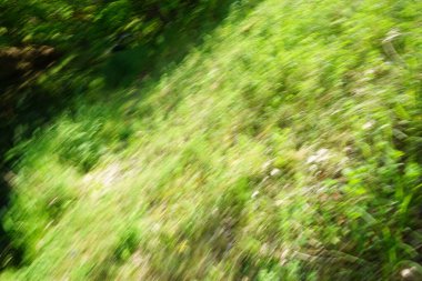 Soyutlama. Wuhle Nehri 'nin dik yamacı. Biesdorf, Berlin, Almanya