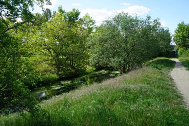 Wuhle Nehri boyunca patika. Güzel manzara. Kaulsdorf, Berlin, Almanya