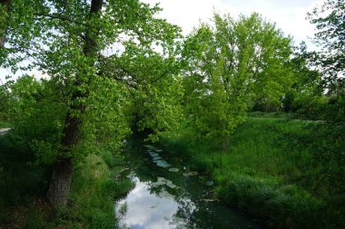 Güneşli bir Mayıs gününde Wuhle Nehri. Wuhle, Spree 'nin küçük bir sağ koludur. Marzahn-Hellersdorf, Berlin, Almanya