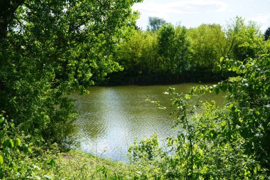 Güneşli bir Mayıs gününde Wuhlesee manzarası. Kaulsdorf, Berlin, Almanya.