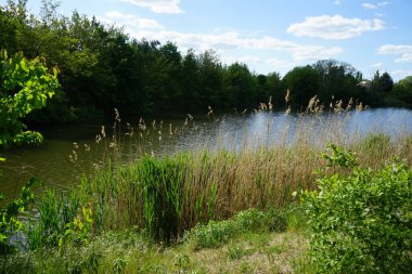 Güneşli bir Mayıs gününde Wuhlesee manzarası. Kaulsdorf, Berlin, Almanya.
