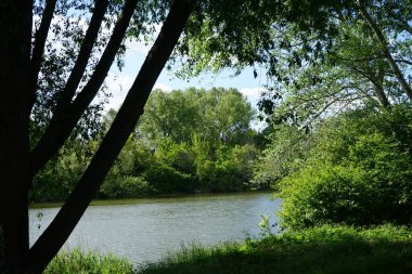 Güneşli bir Mayıs gününde Wuhlesee manzarası. Kaulsdorf, Berlin, Almanya.