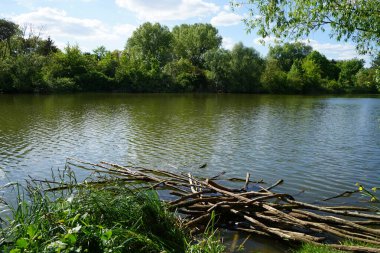 Güneşli bir Mayıs gününde Wuhlesee manzarası. Kaulsdorf, Berlin, Almanya.