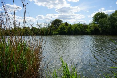 Güneşli bir Mayıs gününde Wuhlesee manzarası. Kaulsdorf, Berlin, Almanya.