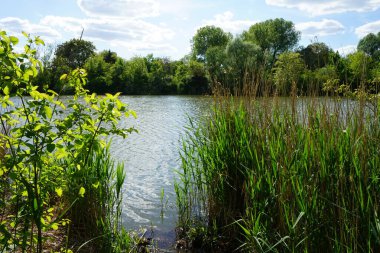 Güneşli bir Mayıs gününde Wuhlesee manzarası. Kaulsdorf, Berlin, Almanya.