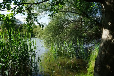 Güneşli bir Mayıs gününde Wuhlesee manzarası. Kaulsdorf, Berlin, Almanya.
