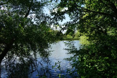 Güneşli bir Mayıs gününde Wuhlesee manzarası. Kaulsdorf, Berlin, Almanya.