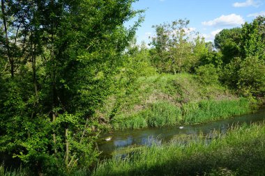 Wuhle Nehri 'nde iki drake. Biesdorf, Berlin, Almanya