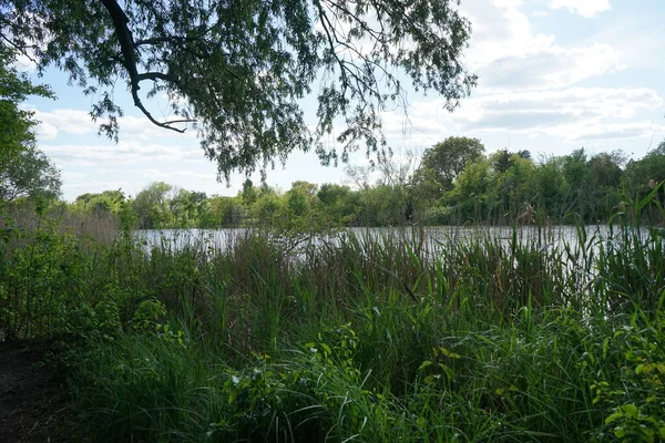 Güneşli bir Mayıs gününde Wuhlesee manzarası. Kaulsdorf, Berlin, Almanya.