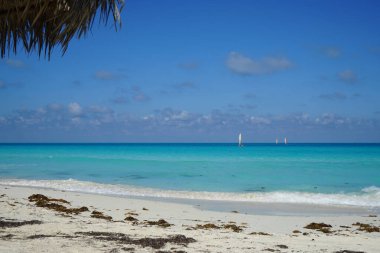 Küba kıyılarına yelken açıyorum. Cayo Santa Maria beyaz kumlu plajlarıyla tanınır. Cayo Santa Maria, Küba.   