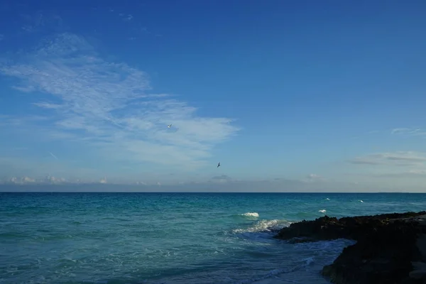 Racci Letící Nad Atlantickým Oceánem Kajo Santa Maria Kuba — Stock fotografie
