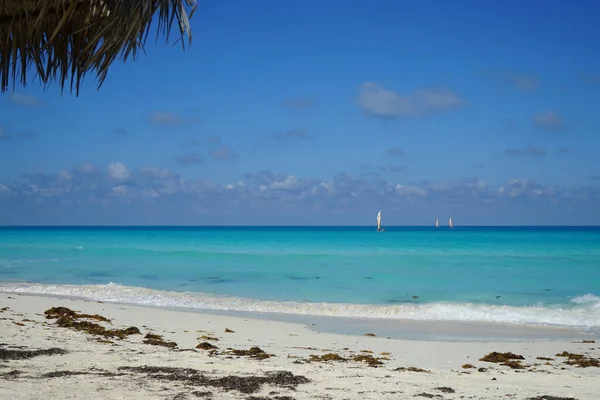 Naviguer Large Des Côtes Cubaines Cayo Santa Maria Est Bien — Photo