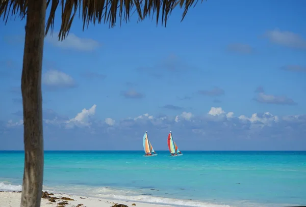 Naviguer Large Des Côtes Cubaines Cayo Santa Maria Est Bien — Photo