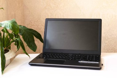 Yaşam tarzı konsepti, evdeki dizüstü bilgisayar, Covid-19 Coronavirus salgını sırasında evde kalmak.