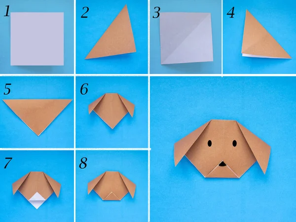 Adım adım fotoğraf çekerek origami kağıdından köpek yapmayı öğretiyorum. Basit bir çocuk konsepti. basamakların kolajı fotoğrafı