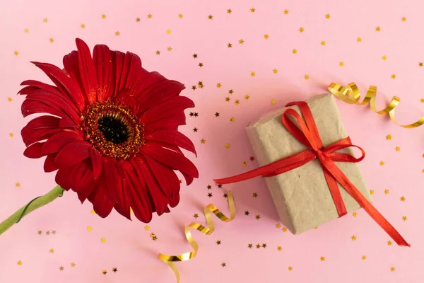 Güzel kırmızı Gerbera çiçeği ve pembe arka planda hediye kutusu. Anneler günün kutlu olsun, kadınlar günü, sevgililer günü ya da doğum günü tebrik kartı. Kutlama selamlama konsepti, düz yatış