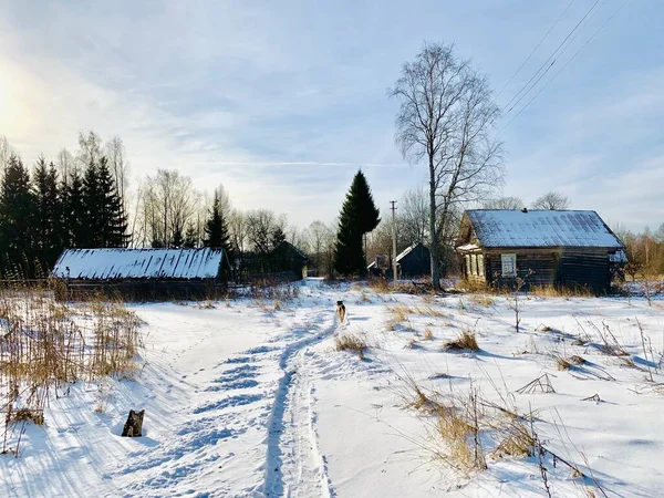 Volgosjön Ryssland Tver — Stockfoto