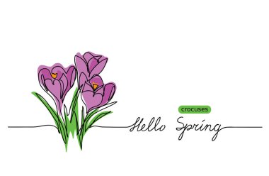 Crocus çiçekleri vektör çizimi, karalama. Merhaba Bahar mektupları. Crocuses web pankartı, illüstrasyon, sınır, kart, arkaplan.