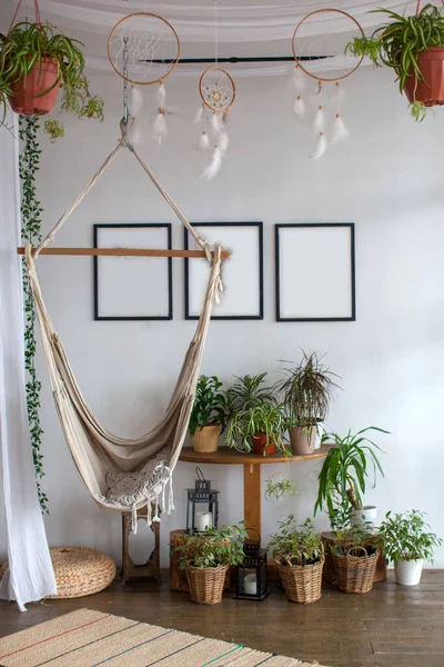 Hamak v interiéru, obývací pokoj s rostlinami. — Stock fotografie