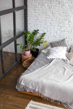 Eklektik yatak odası bitkilerle dolu..