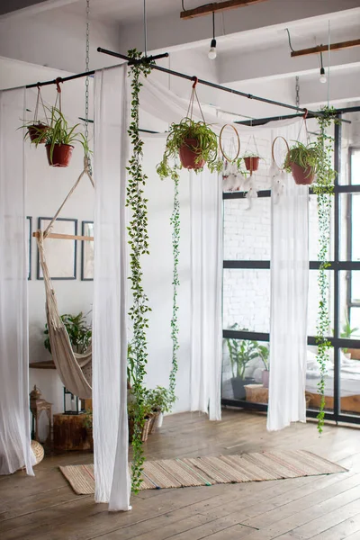 Hamak v interiéru, obývací pokoj s rostlinami. — Stock fotografie