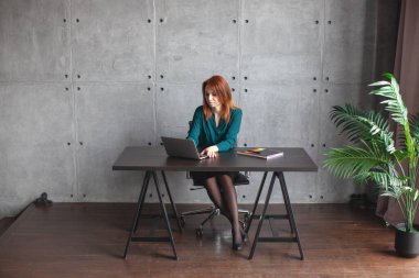 Genç Kafkasyalı kadınlar modern ofiste dizüstü bilgisayarda ya da evde çalışıyorlar..