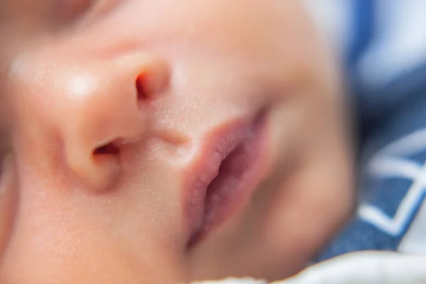 Newborn baby portrait. — Stock Photo, Image