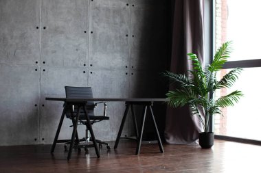 Ofisteki masa. Tencerede tropik bir çiçek. Ofis ya da ev içi.