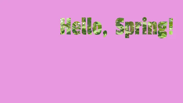 Purple Background Green Hello Spring Inscription — Stock Photo, Image