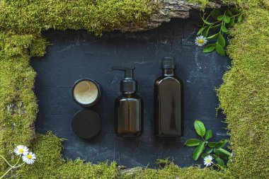 Nemlendirici krem kavanozu, serum ve vücut yağı siyah arka planda yosun ve yeşillikle işaretlenmemiş boş paketler. Doğal kozmetik konsepti. Üst manzara, düz uzanma.