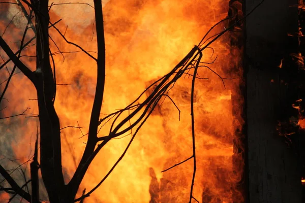 Altes Holzhaus Steht Flammen — Stockfoto