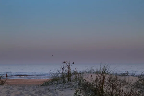 Duin Bij Zonsondergang Carrasco Strand Montevideo — Stockfoto