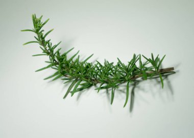 Beyaz arkaplanda minimalist biberiye