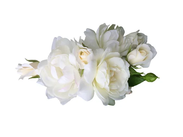 Giardino Bianco Rosa Fiore Sfondo Bianco — Foto Stock