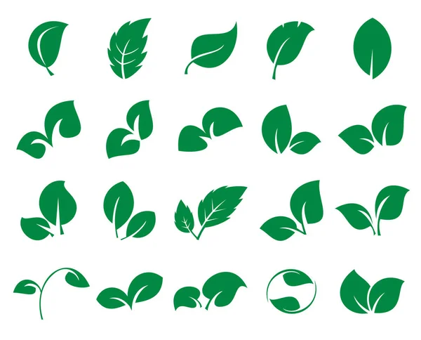 Iconss zielony liść na białym tle na białym tle Ilustracje Stockowe bez tantiem