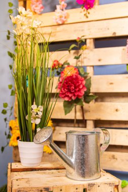 Güneşli bir bahçede bahar renkleri.