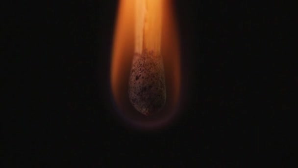Közelkép Egy Gyufáról Amit Felemésztett Tűz Egy Slukk Elzárja Dohányzás — Stock videók