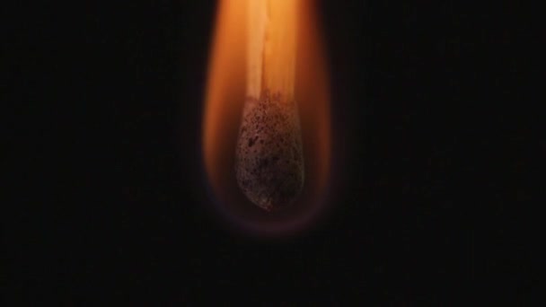Gros plan d'une allumette consumée par le feu. Coupez par une bouffée. Fumée après avoir été éteinte .