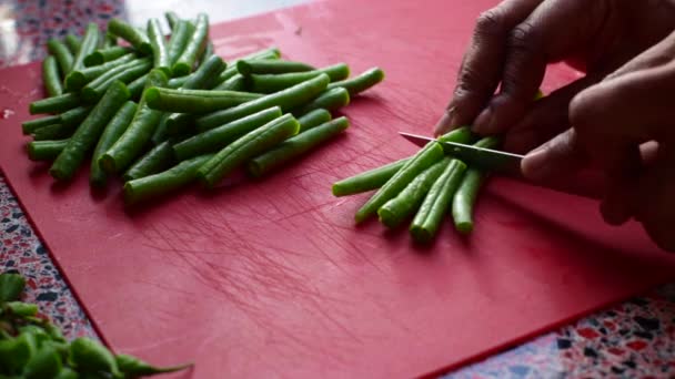 Chef Picando Judías Verdes Cocina Hora Del Almuerzo — Vídeo de stock