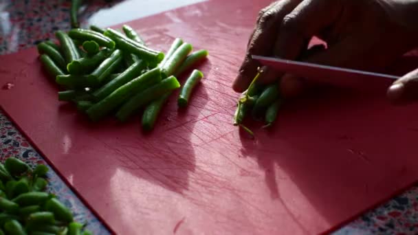 Chef Agarrando Judías Verdes Picándolas Cocina Hora Del Almuerzo — Vídeo de stock