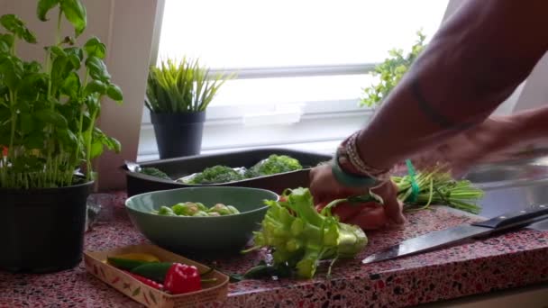 Man Bereidt Veganistische Maaltijd Keuken — Stockvideo